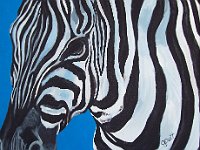 Zebra 11x14